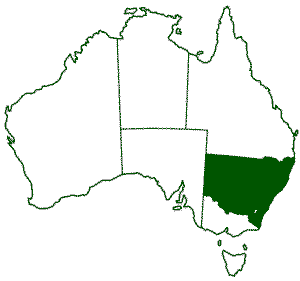New South Wales Wineries