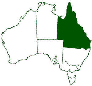 Queensland Wineries