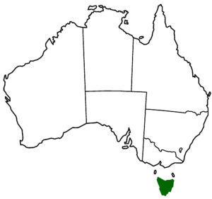 Tasmanian Wineries