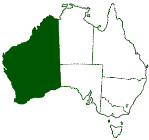 Western Australian Wineries