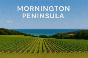 Mornington Peninsula: Coastal Elegance Meets Cool-Climate Wine