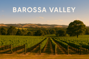Barossa Valley: Bold Reds, Deep Roots & a Taste of Australian Heritage