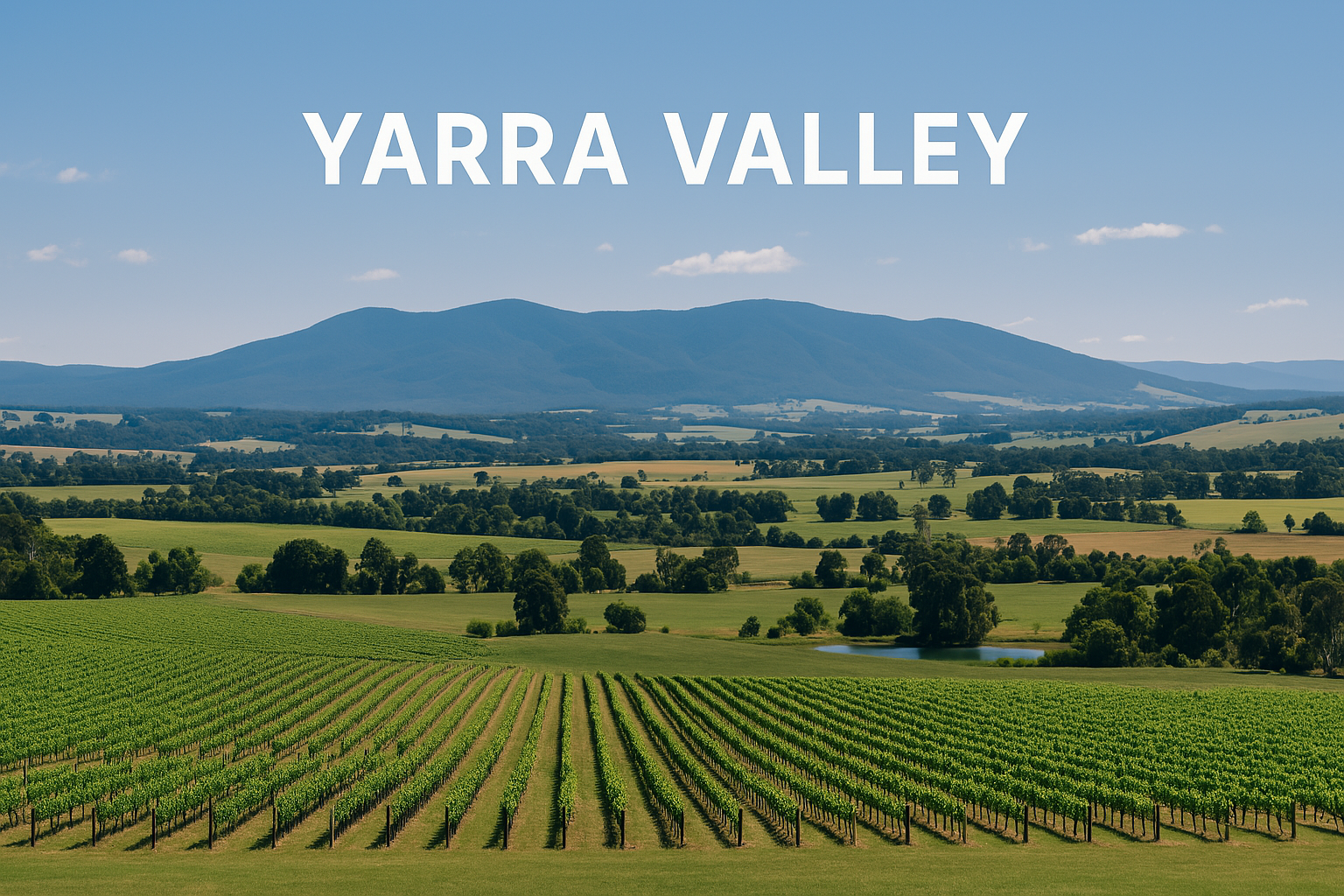 Yarra Valley Wine Region: Cool-Climate Elegance Just an Hour from Melbourne